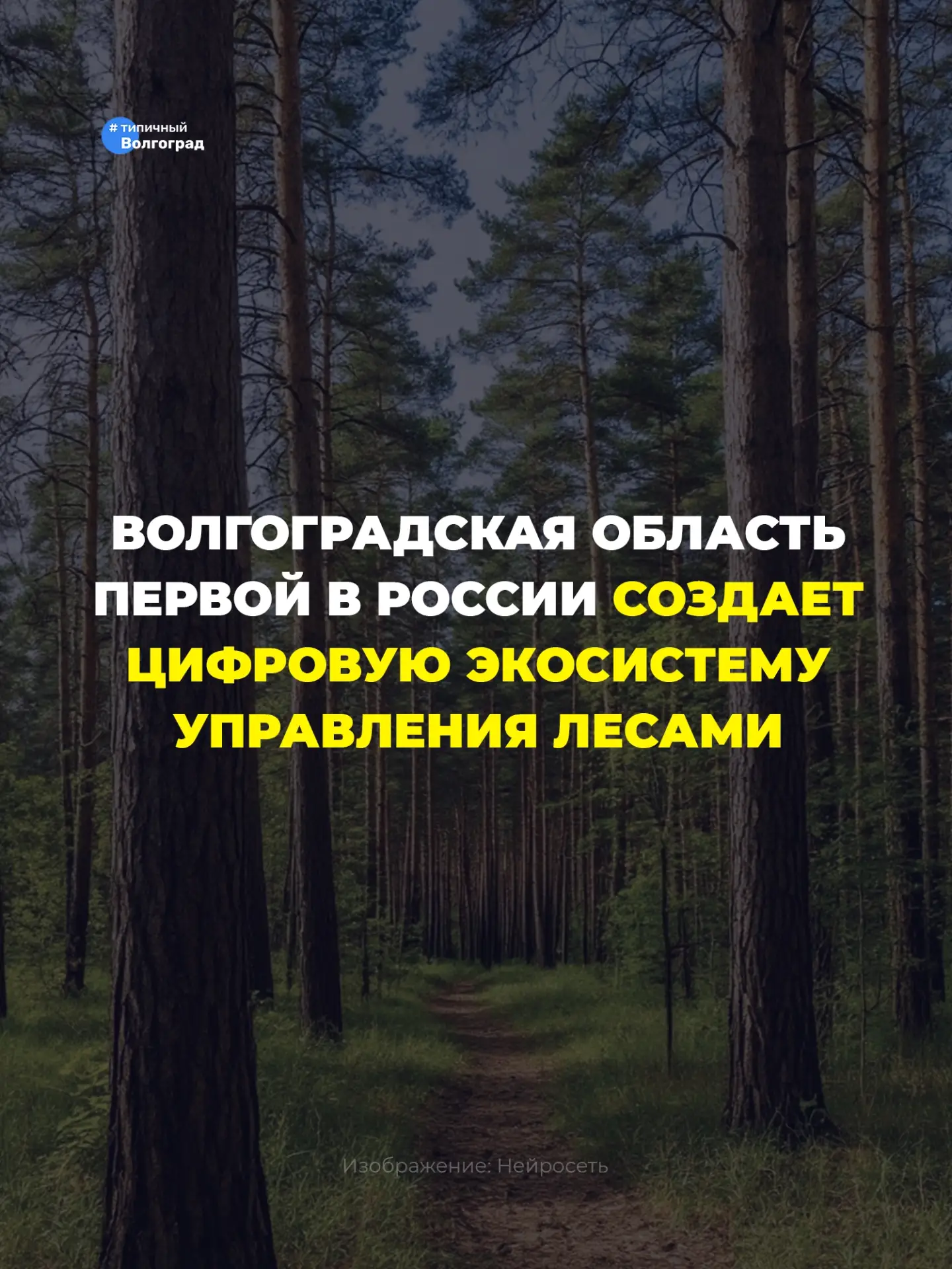 Волгоградская область первой в России создает цифровую экосистему управления лесами! 👏😍

Накануне 