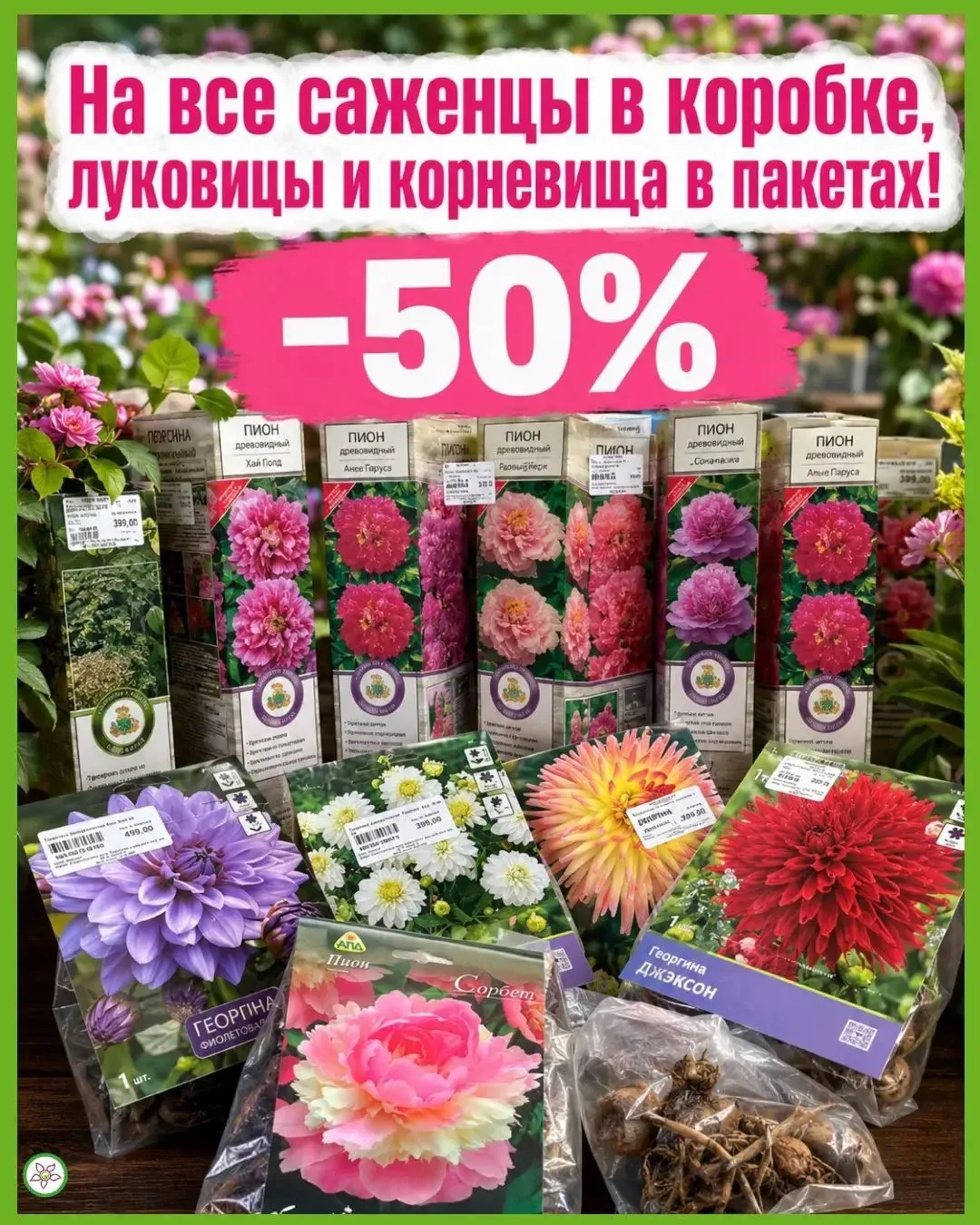 🌸 СКИДКА 50% 🌸

На все саженцы в коробках, луковицы и корневища в пакетах 🌿

🌱 Большой выбор рас