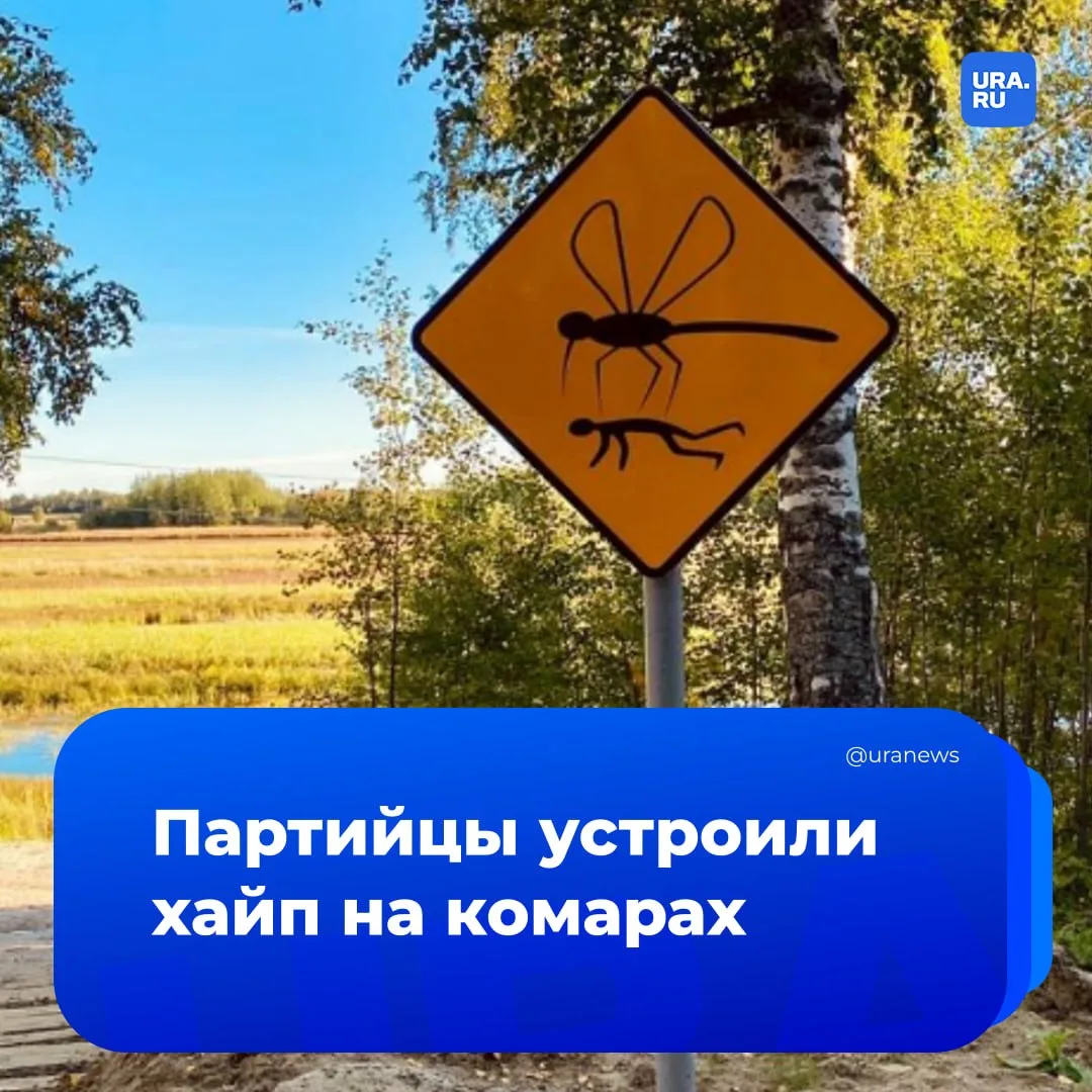 Тюменские партийцы устроили предвыборный хайп на комарах  Аномальное нашествие агрессивных комаров н