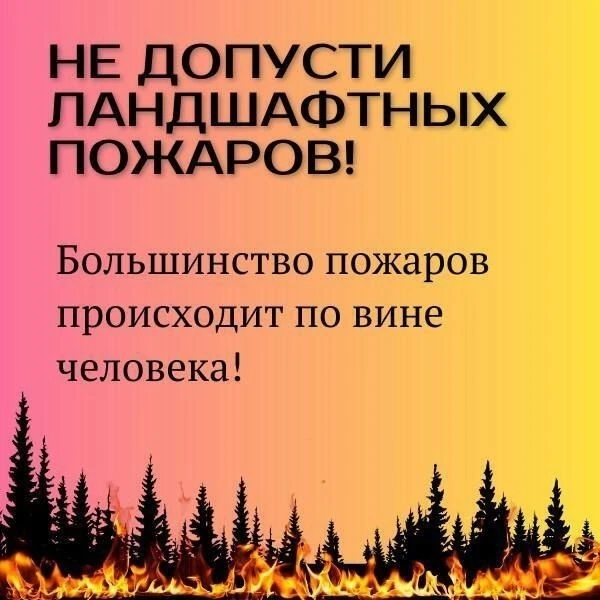 ❗️Напоминаем в крае запрещено проводить: огневые работы, выжигать растительность и жечь...