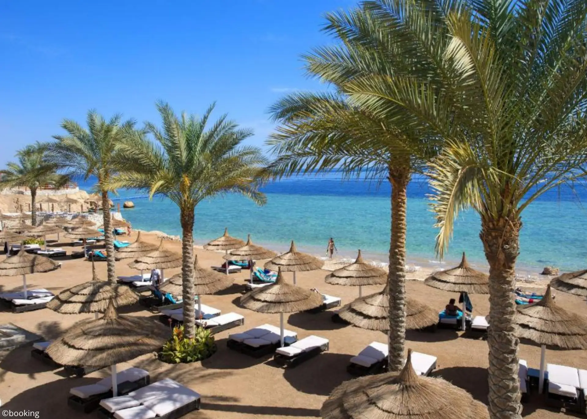 📍 Sunrise Montemare Resort Grand Select 5*