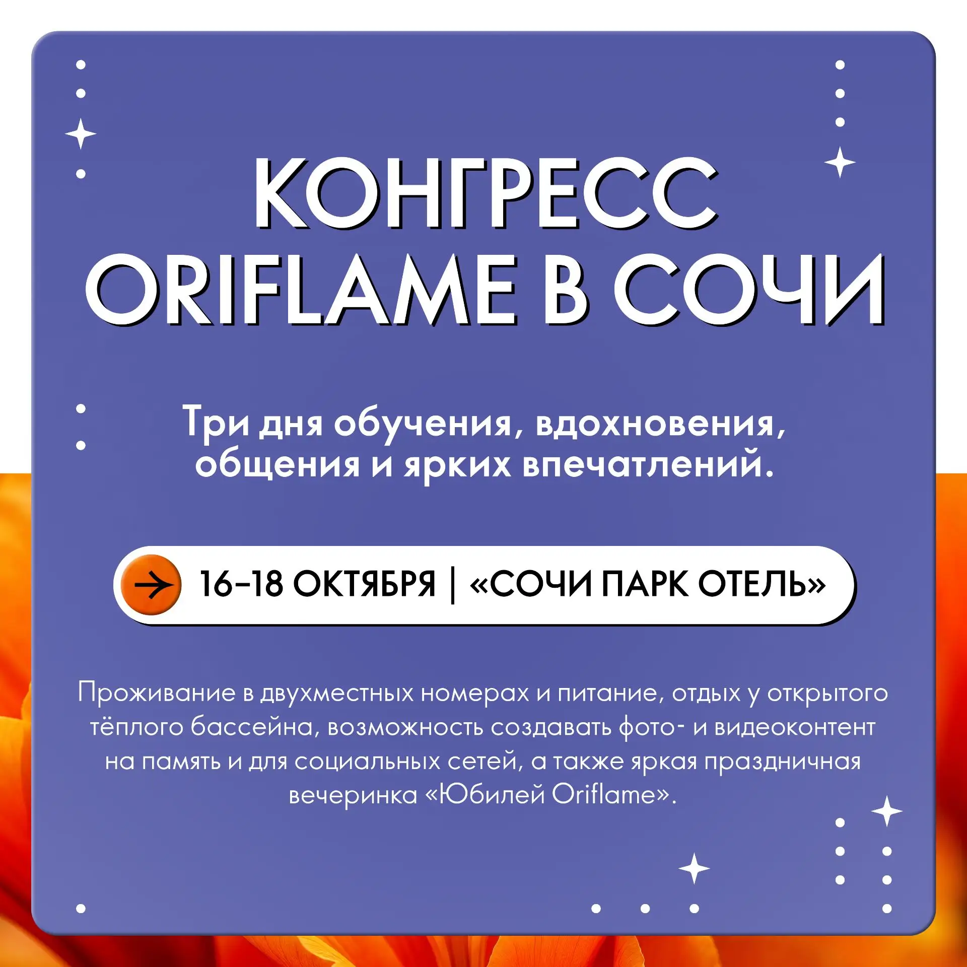 Дорогие Партнёры!