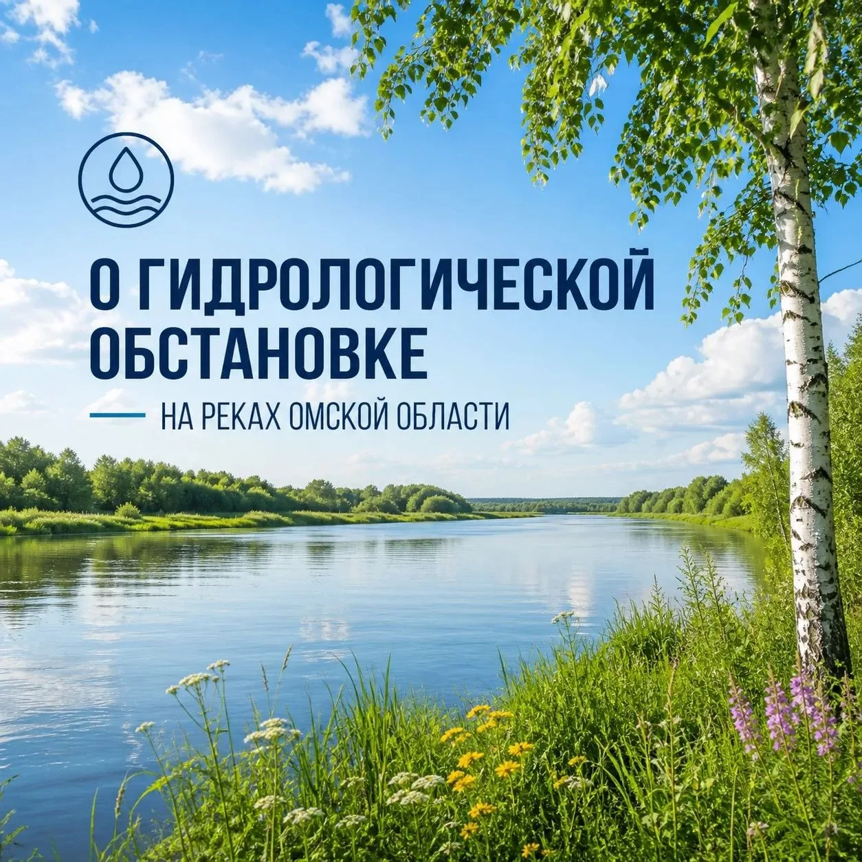 🌊 Гидрологическая обстановка в Омской области: спокойно и стабильно