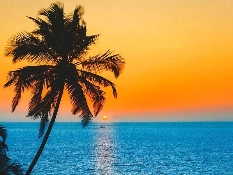 🌴Индия, Гоа !