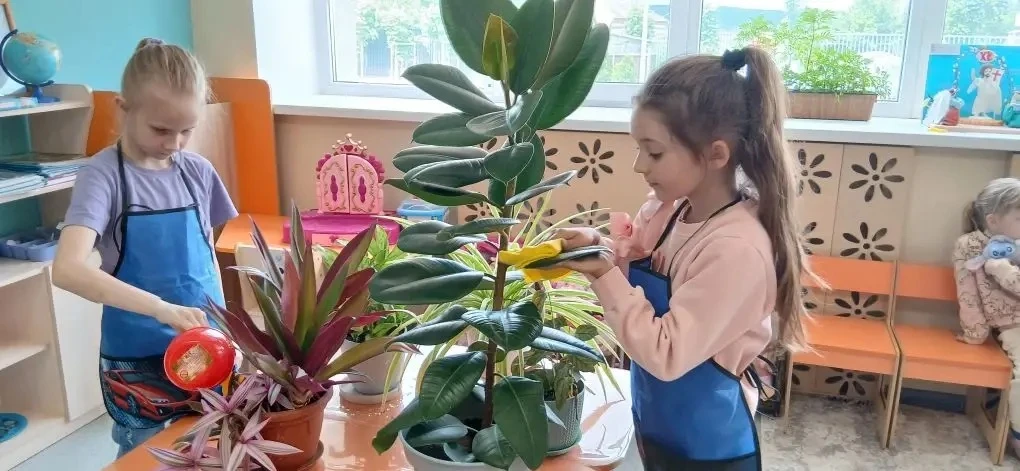 Воспитанники подготовительной группы «Светлячки» учатся ухаживать за комнатными растени...