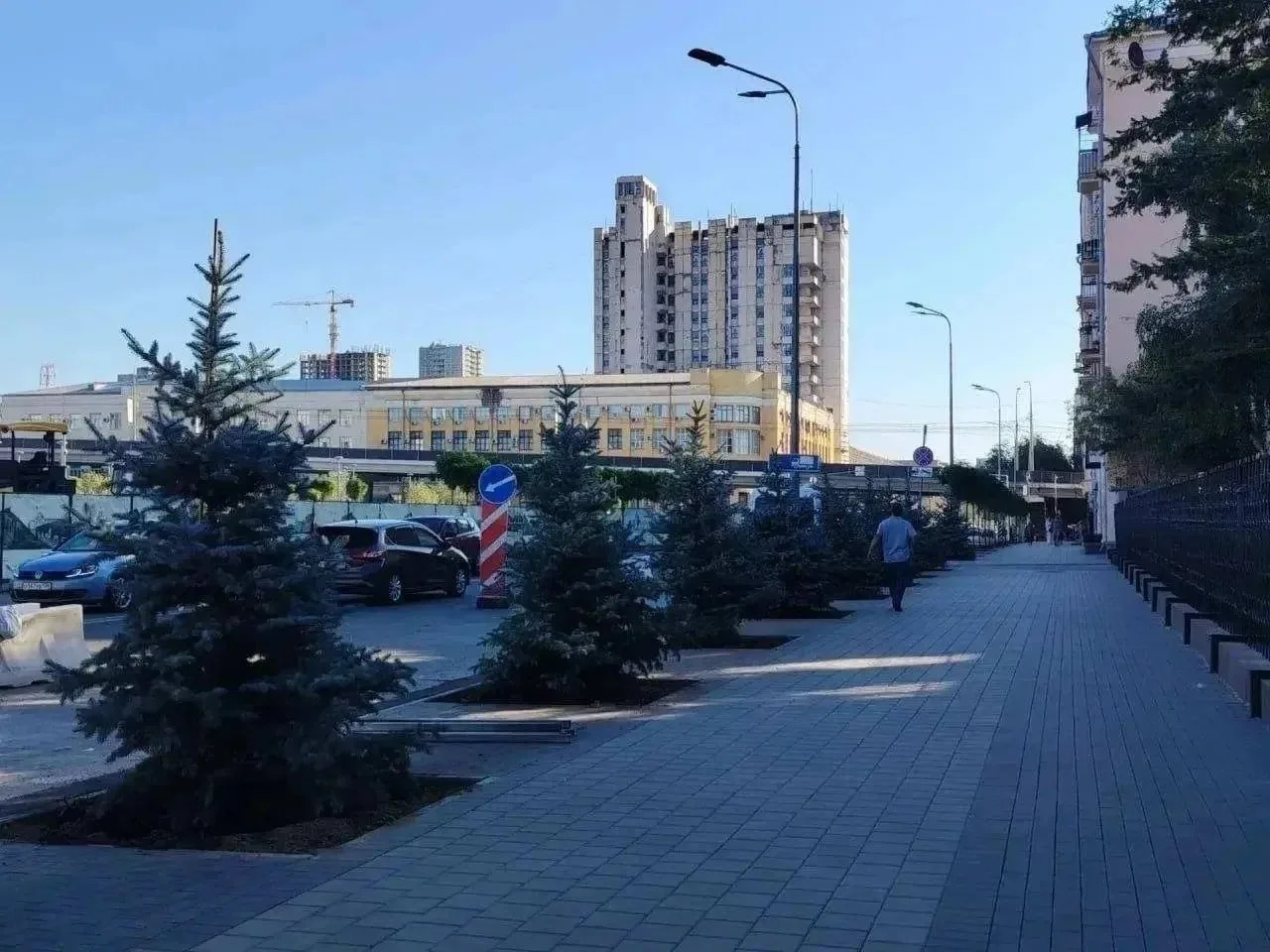 Красивые голубые ели высадили напротив вокзала в Волгограде 🩵