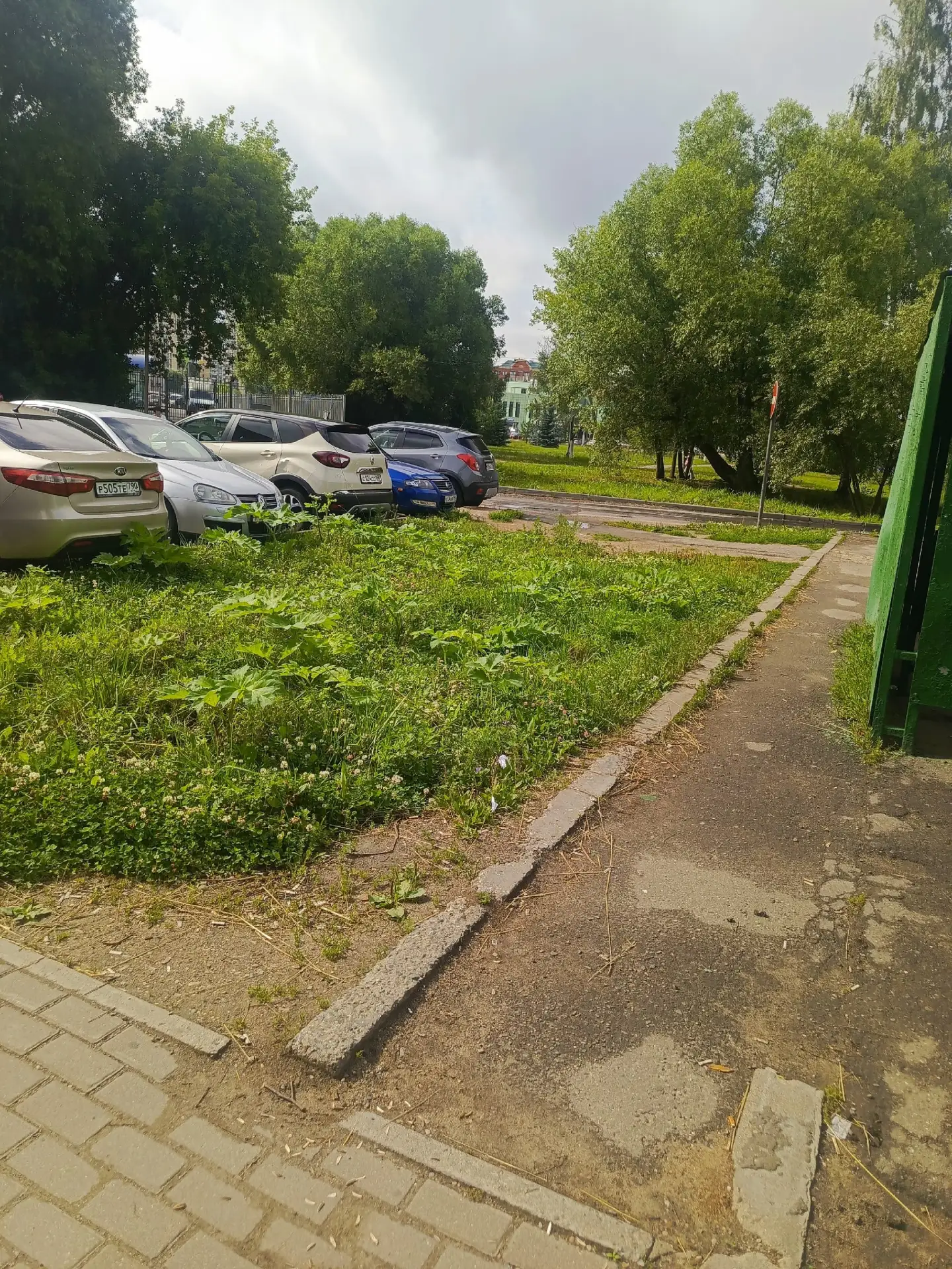 Остановка Горгаз где собирается куча народу борщевик в центре города