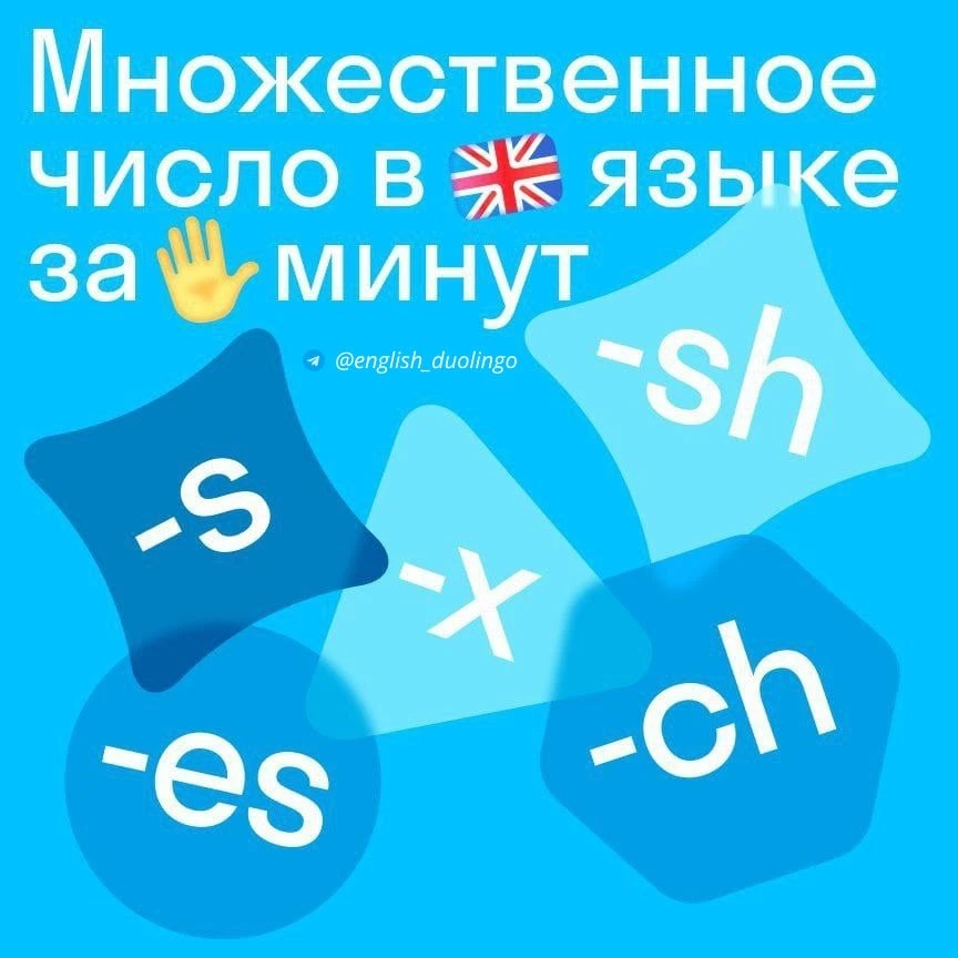 💁 Множественное число в английском языке за 5 минут