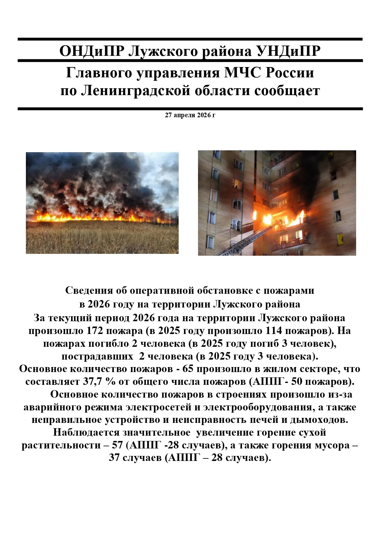 Медиа публикации