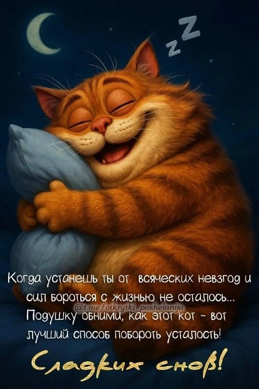 Спокойной ночи,друзья. Хороших снов🕊🥱