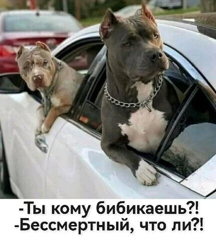 Нужен заряд позитива? Наш юмористический канал — то, что доктор прописал!  Мемы, шутки, смешные исто