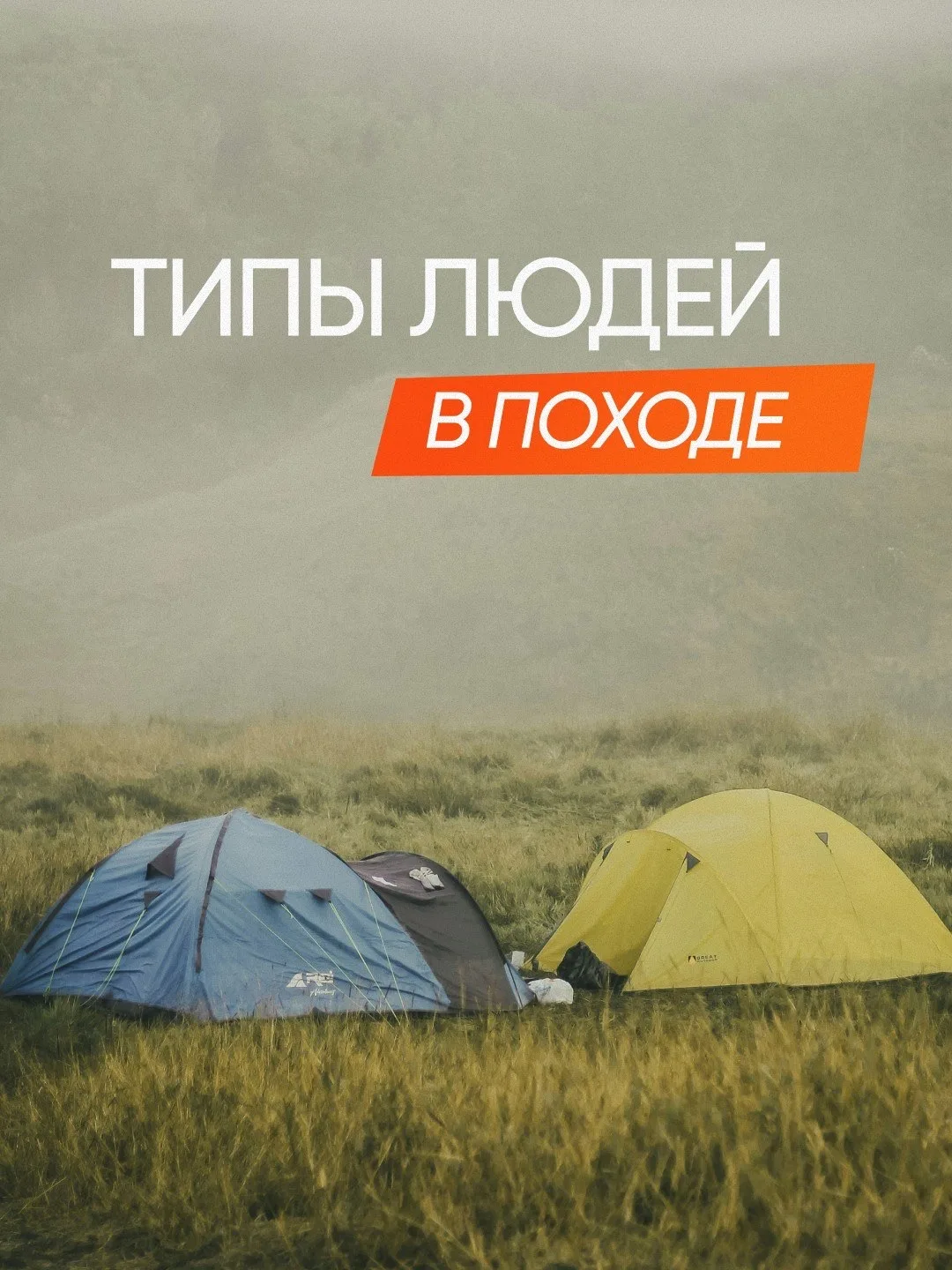 Узнали кого-то из своих? 😁