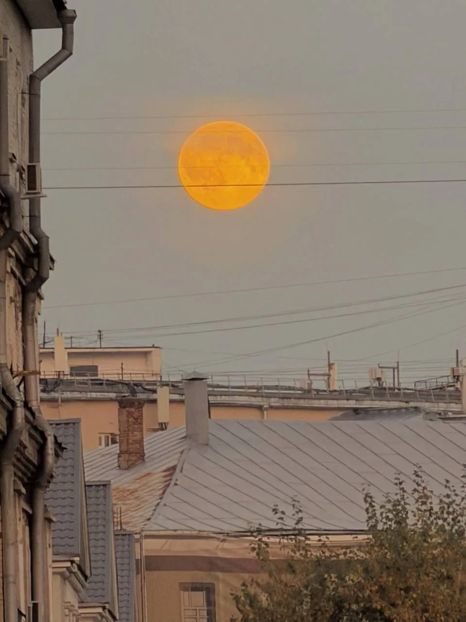 Огромная луна взошла над Москвой.