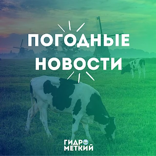 💥 Доброе утро, Гидромет!