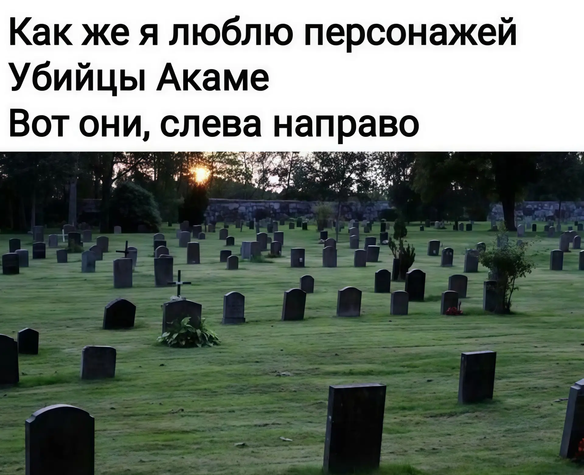 🔘 наши проекты