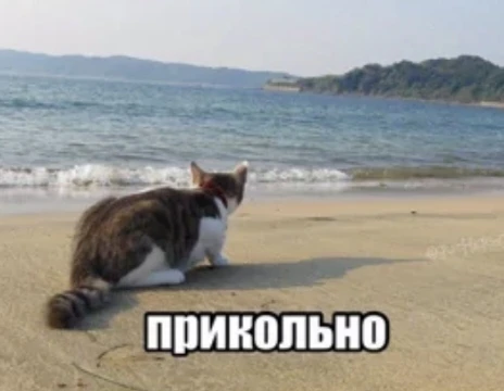 Подборка от подписчика 1/10 (это не оценка, а счёт подборки, подборка на 100/10)