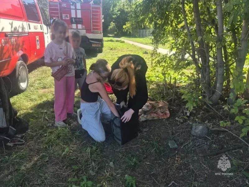 В Ачинске огнеборцы спасли провалившегося в колодец котёнка