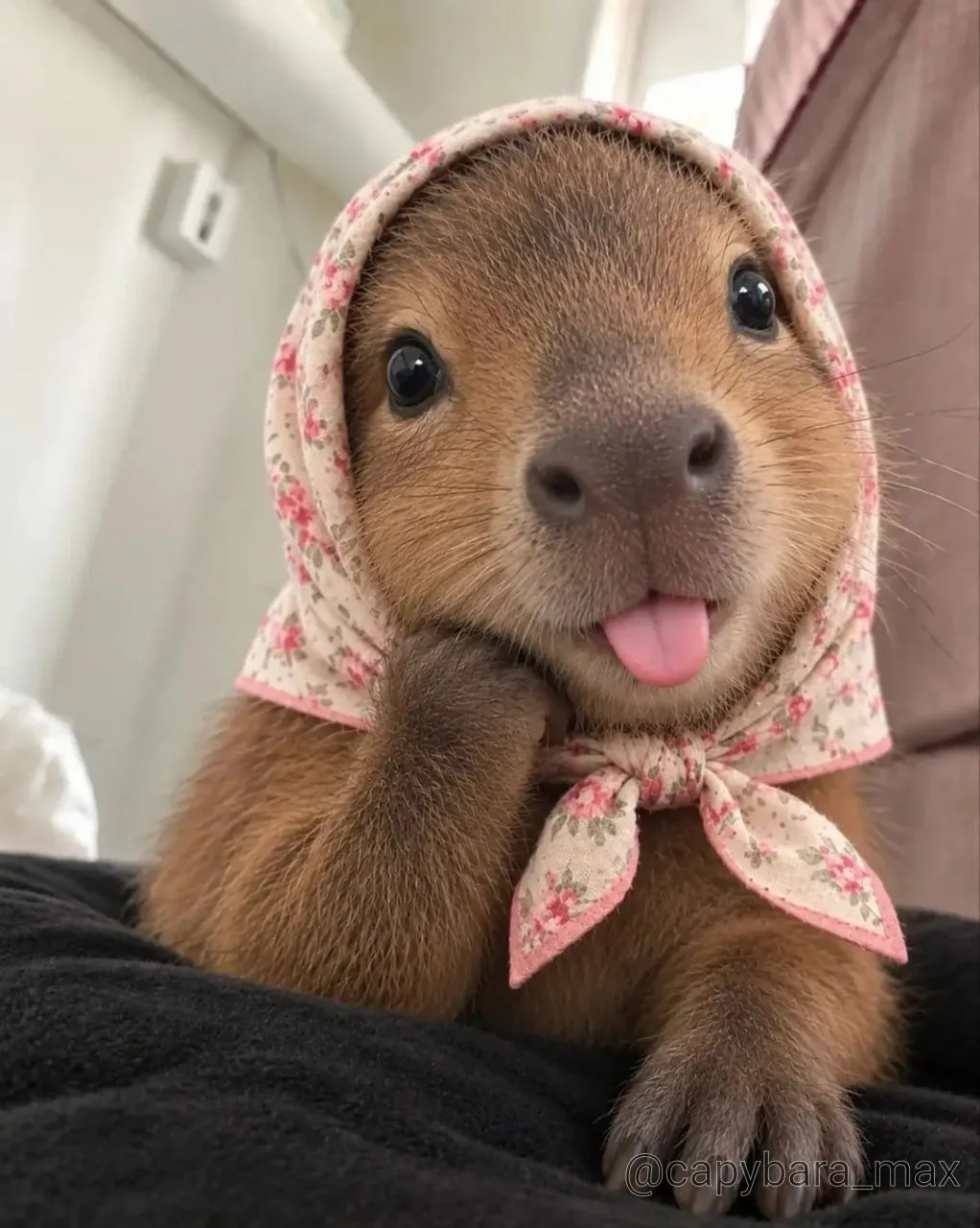 ❤️😍