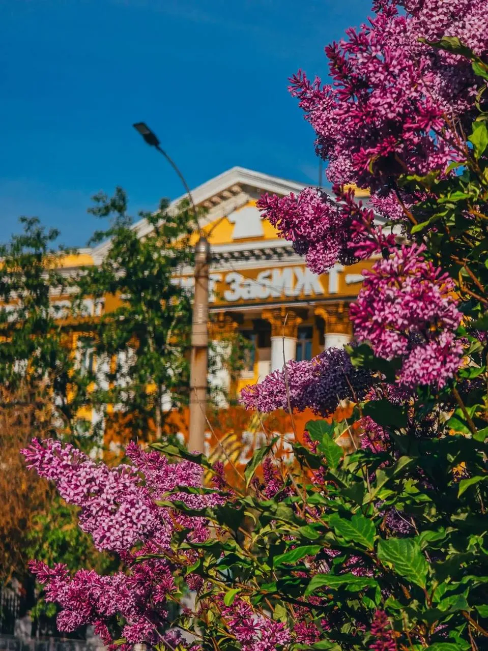 Чита окутана благоуханием сирени — она цветёт повсюду. 

📸 Александр Тонких

Делитесь и вы с нами ф