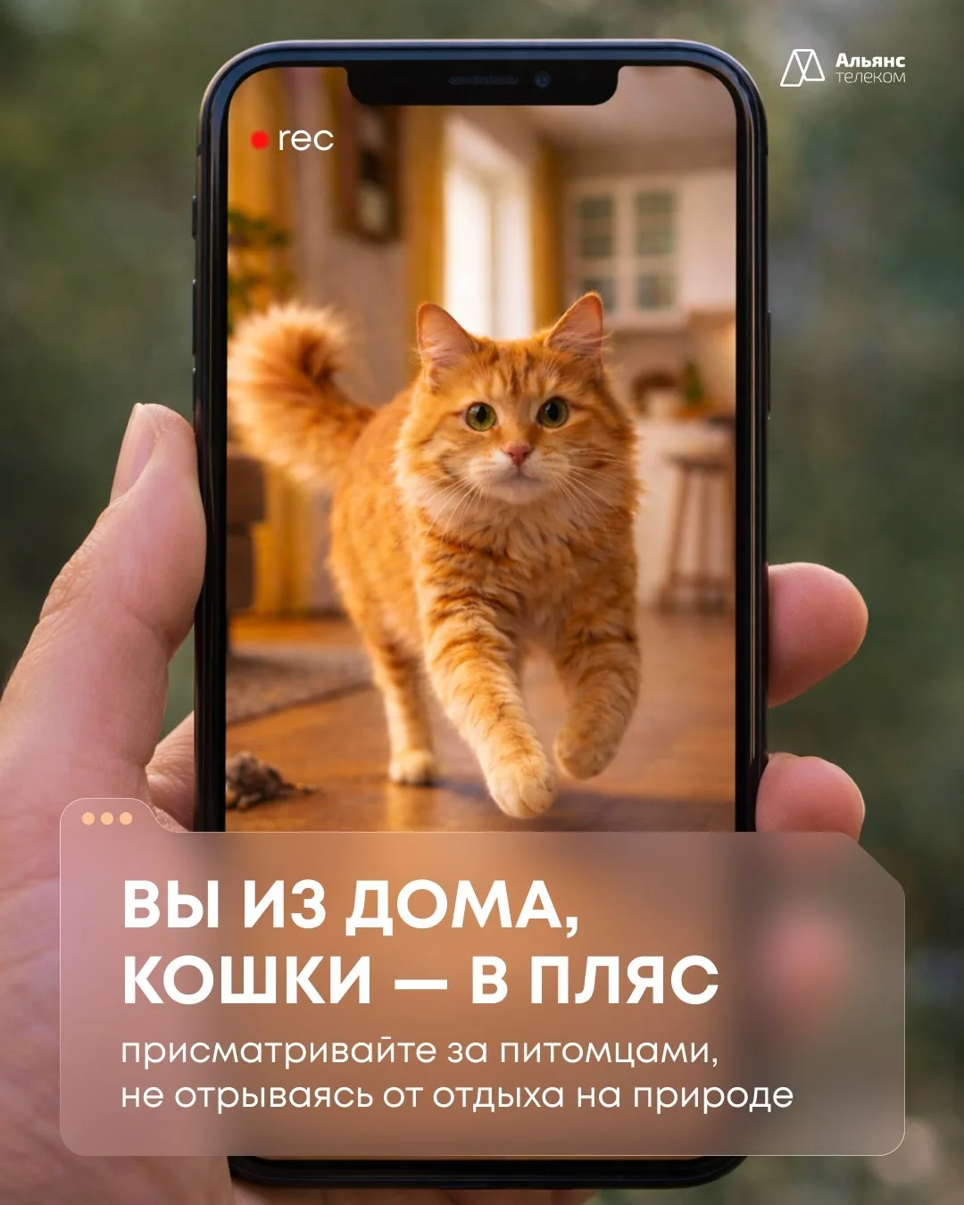 Впереди майские праздники, а это значит, что пора позаботиться о безопасности ваших пит...