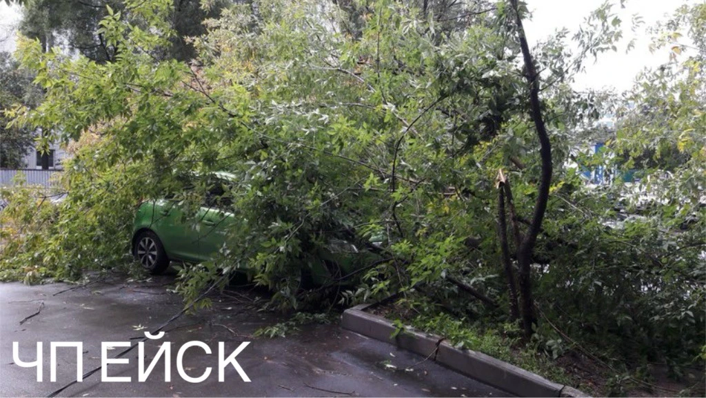 ⚡️🌪️Уважаемые читатели убирайте свои машины подальше от сухих деревьев. В Ейске очень ...