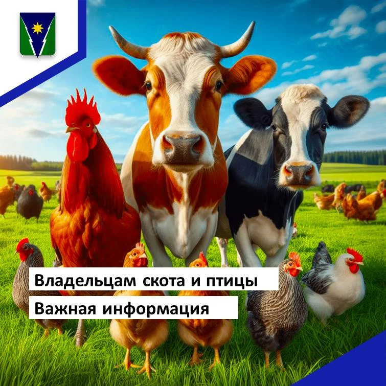 📢 Владельцам скота и птицы: