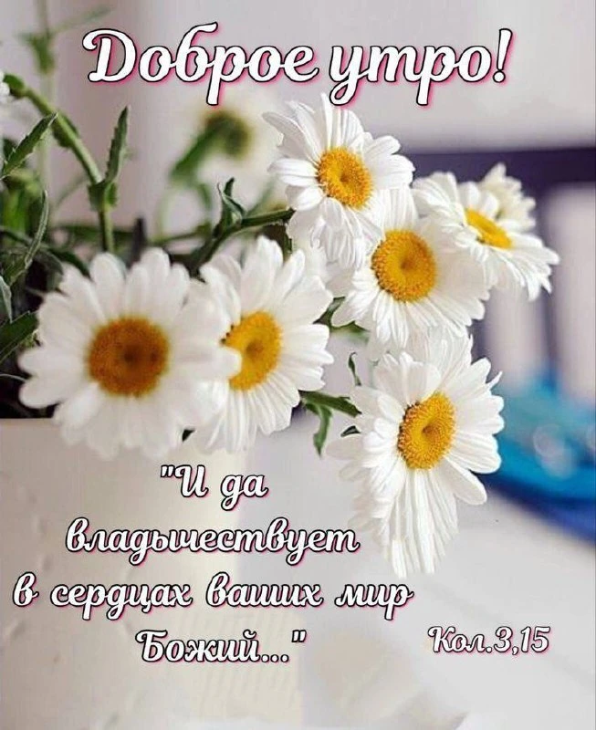 ❤️❤️❤️❤️Открытки❤️❤️❤️❤️