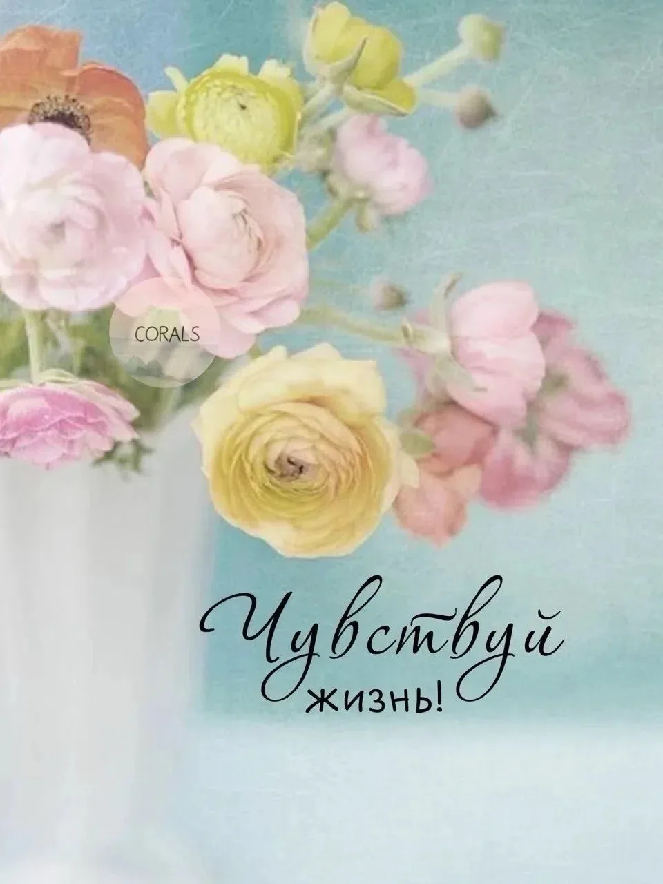 Осень встретим в душевной и доброй ностальгии!