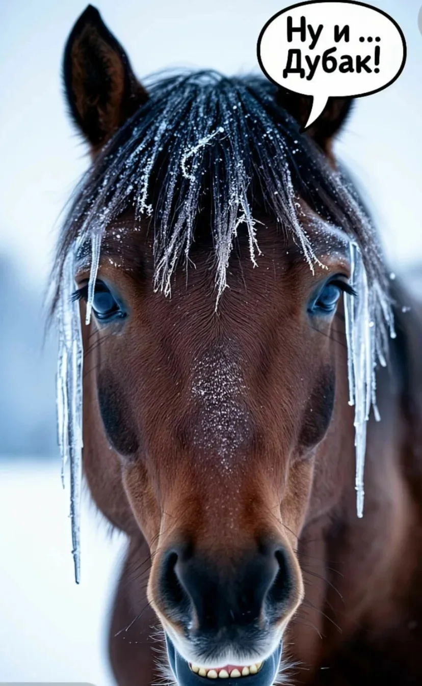 🐴 Отдали годы детям, а холода встречают в летних денниках: в Казани переживают за возр...