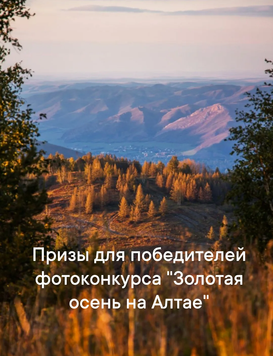 🍂🍁🍂 ПРИЗЫ для БУДУЩИХ победителей "Фотоконкурса "Золотая осень на Алтае" (идет прием...