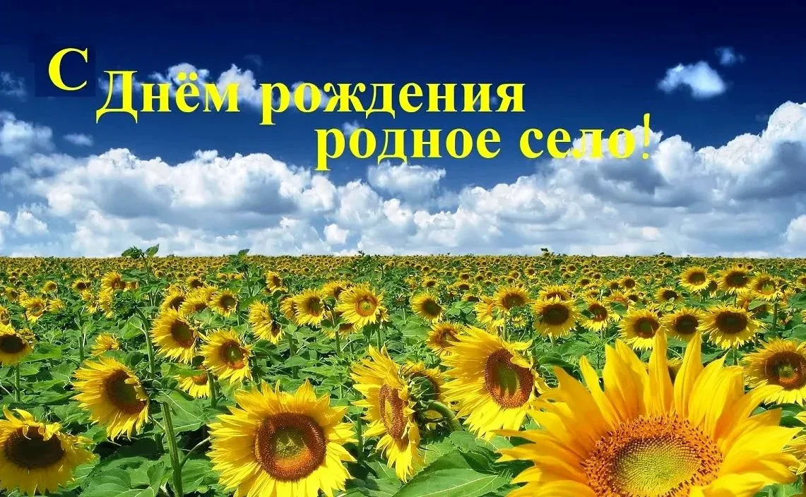 Дорогие жители и гости села Знаменское!