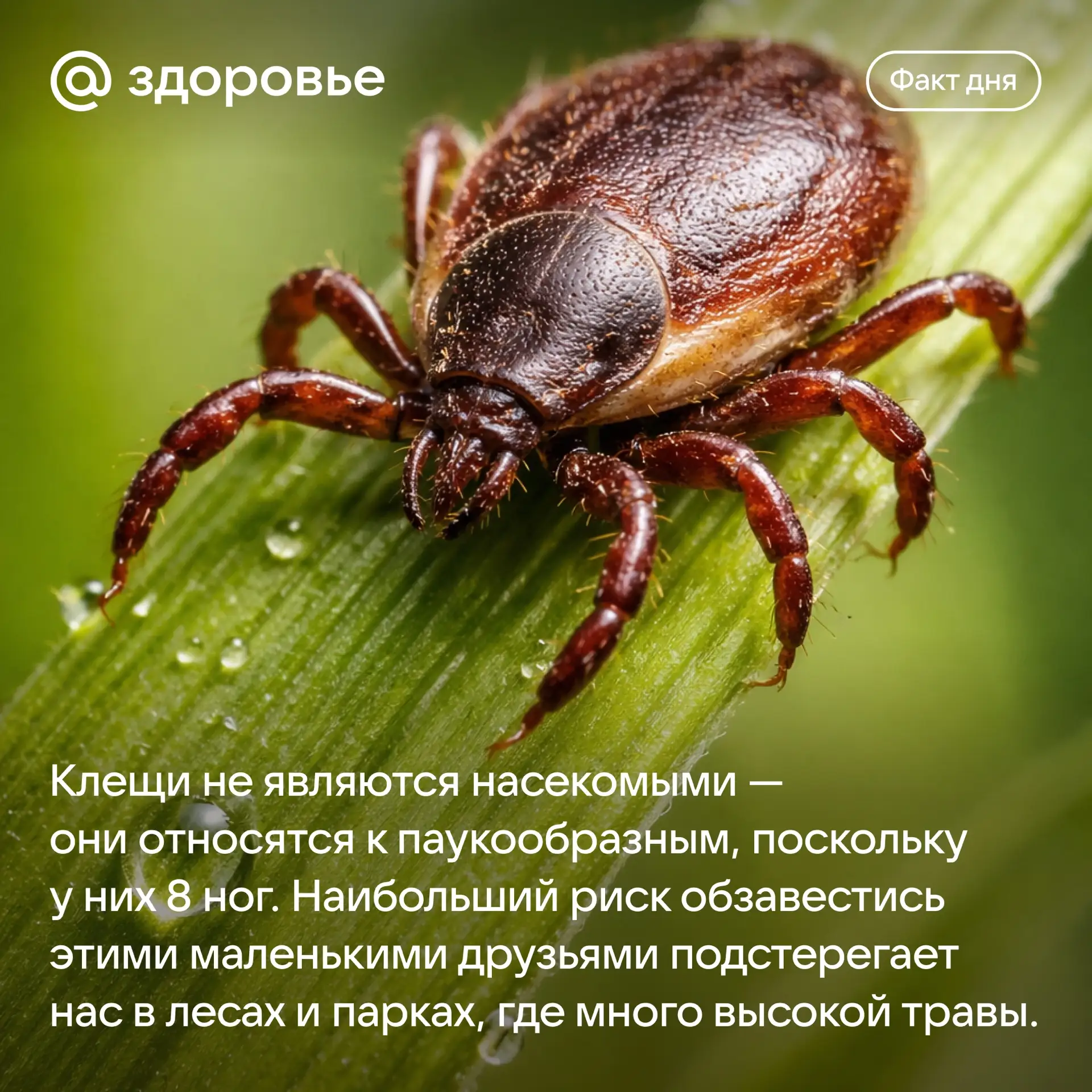 Хорошего дня! ☀️