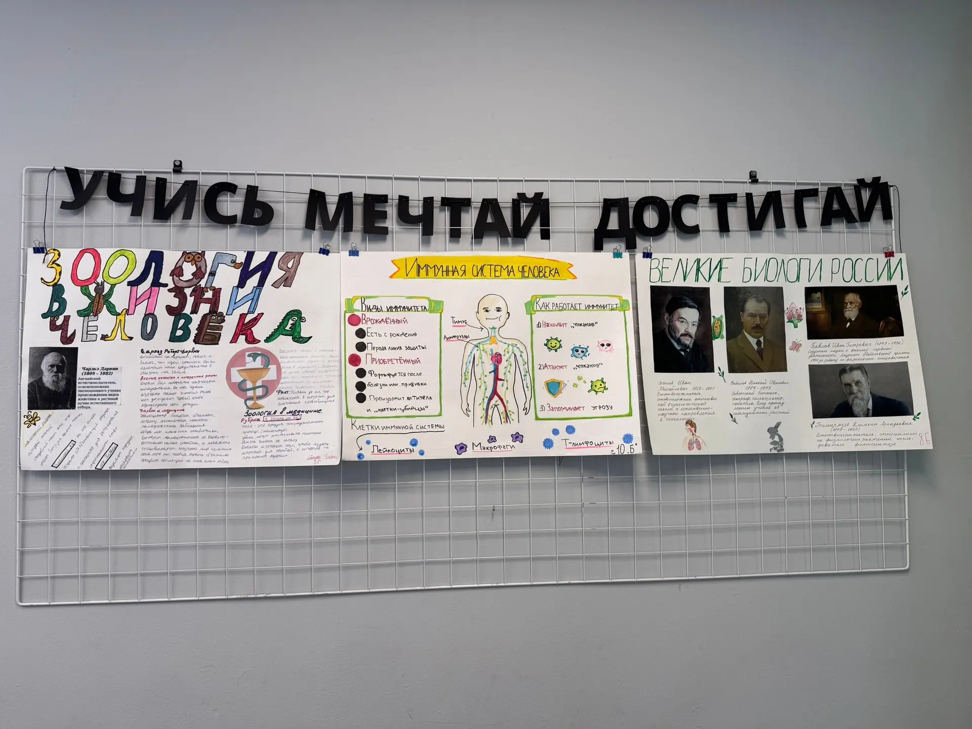 8 февраля - День российской науки  Этот профессиональный праздник был учреждён в 1999 году, а его да