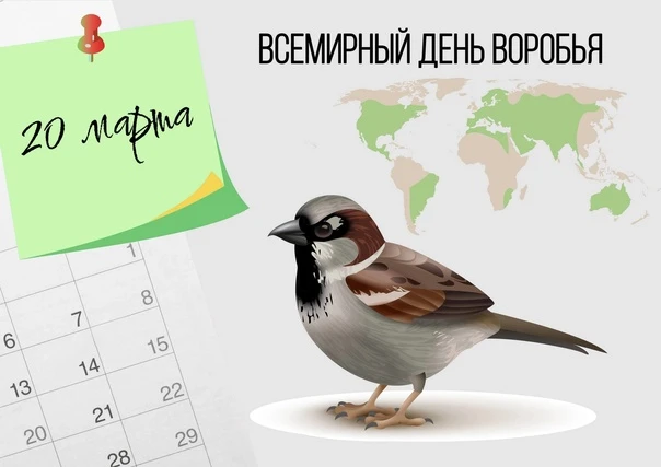 20 марта — Всемирный день воробья. Это экологический праздник, цель которого — привлечь внимание к о
