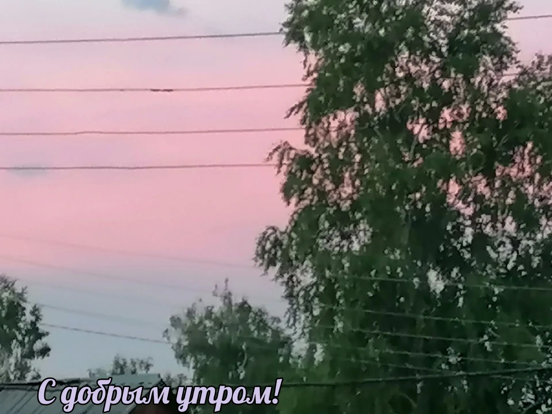 Пусть утро будет теплым и уютным!☕🍒