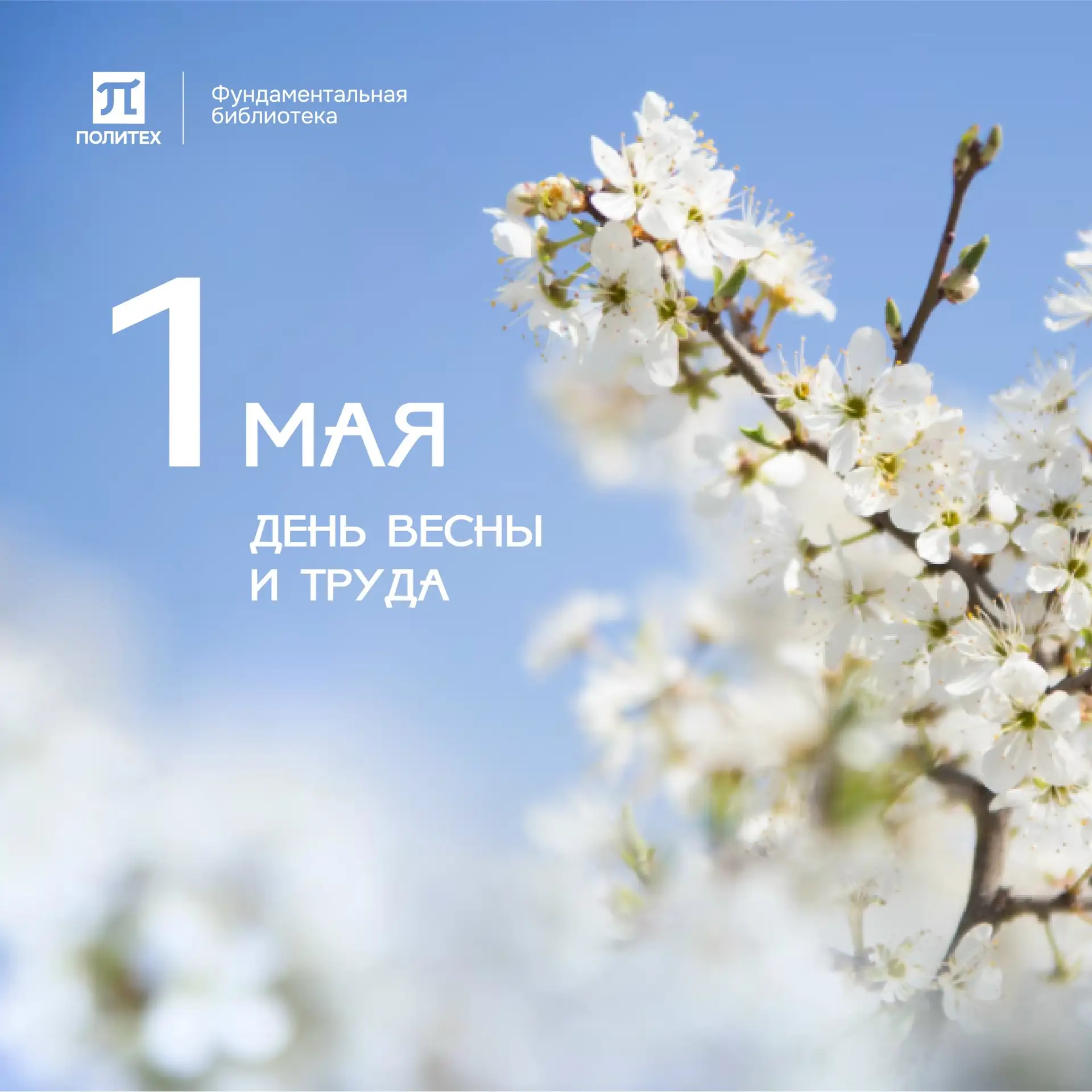 От всей души поздравляем с 1 Мая — праздником Весны и Труда 🌸! 
 
В эти теплые весенние дни мир вок