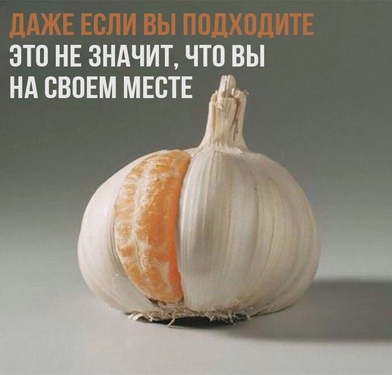 Мудрость дня:
Даже если вы подходите, это не значит, что вы на своем месте.

Найти свое место помога