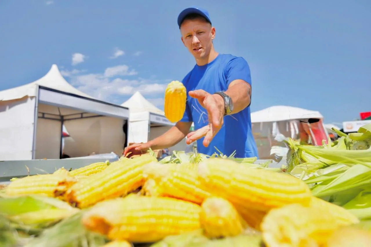 🌽 На Кубани произвели первые 600 тысяч банок сахарной кукурузы нового урожая

Предприятия края запу
