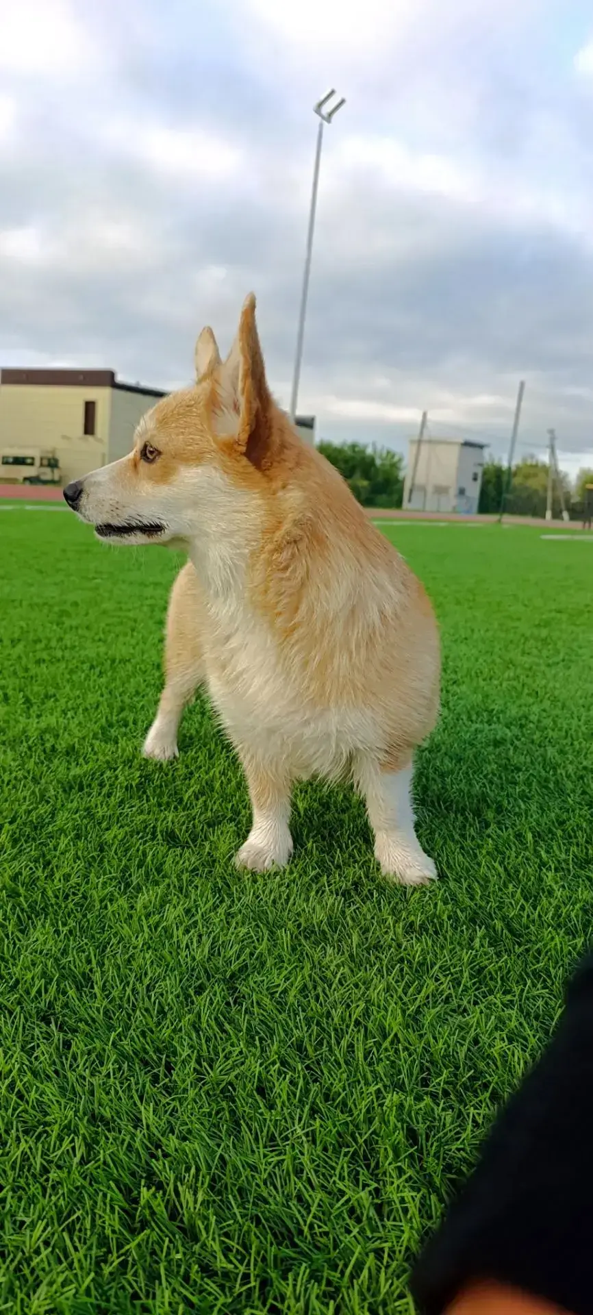 Дилара ❤️