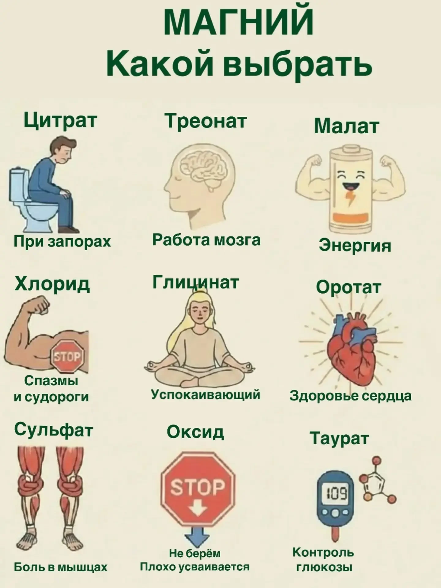 Магний участвует в сотнях физиологических
процессов в организме:

✅ стабилизирует уровень сахара в к