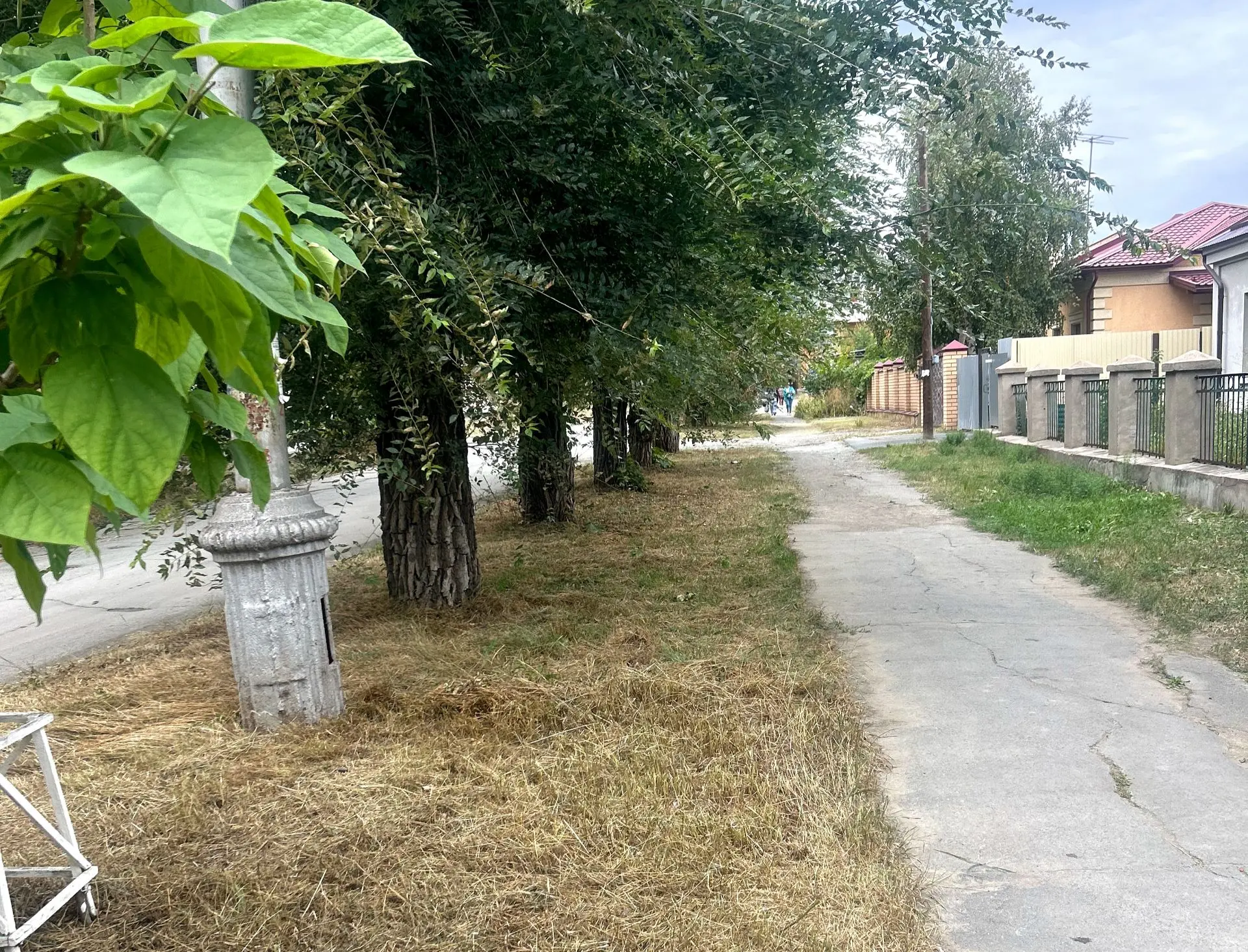🌿 В Орске опять косили