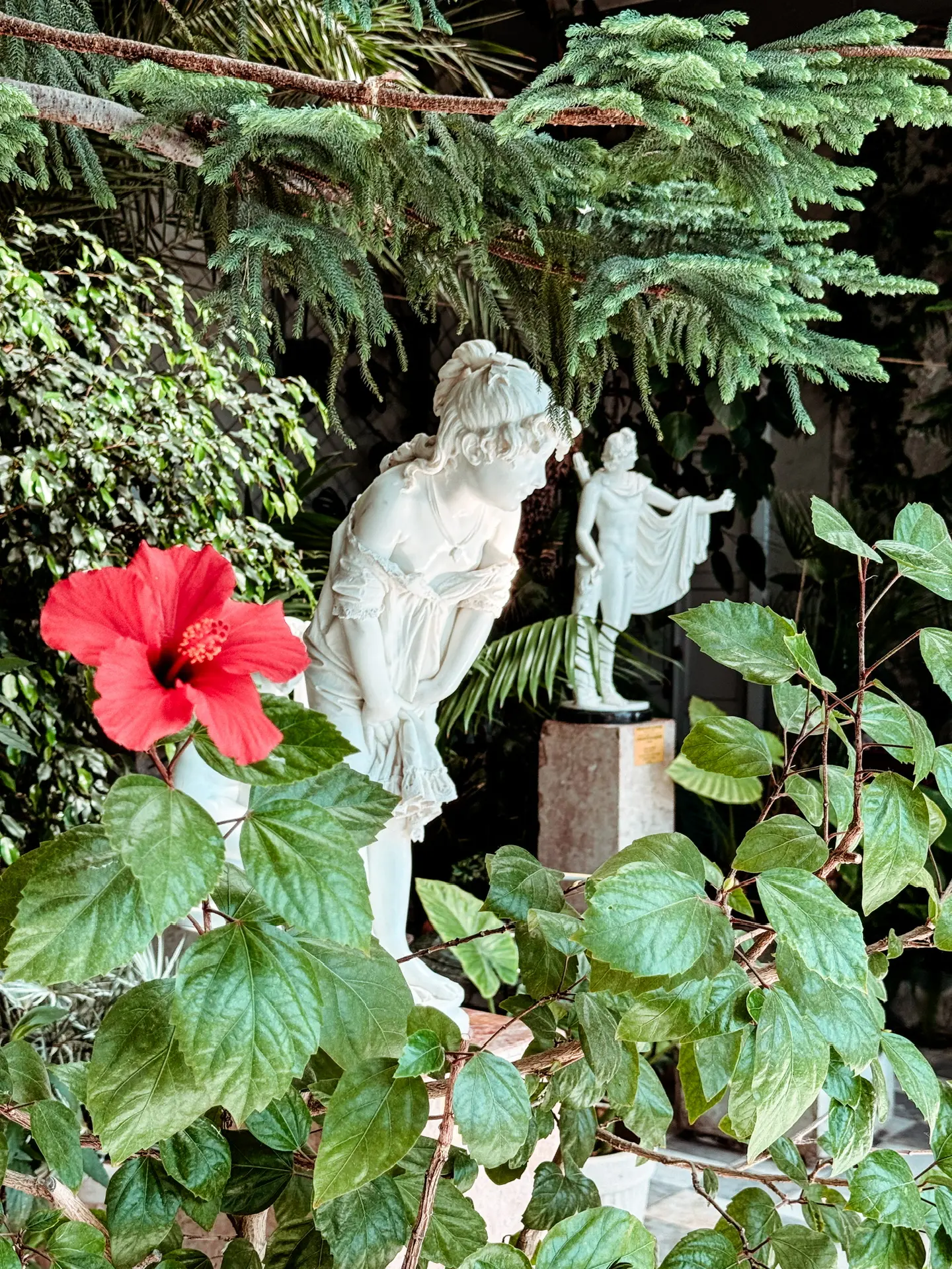 📍Алупка 

Зимний сад Воронцовского дворца🍃