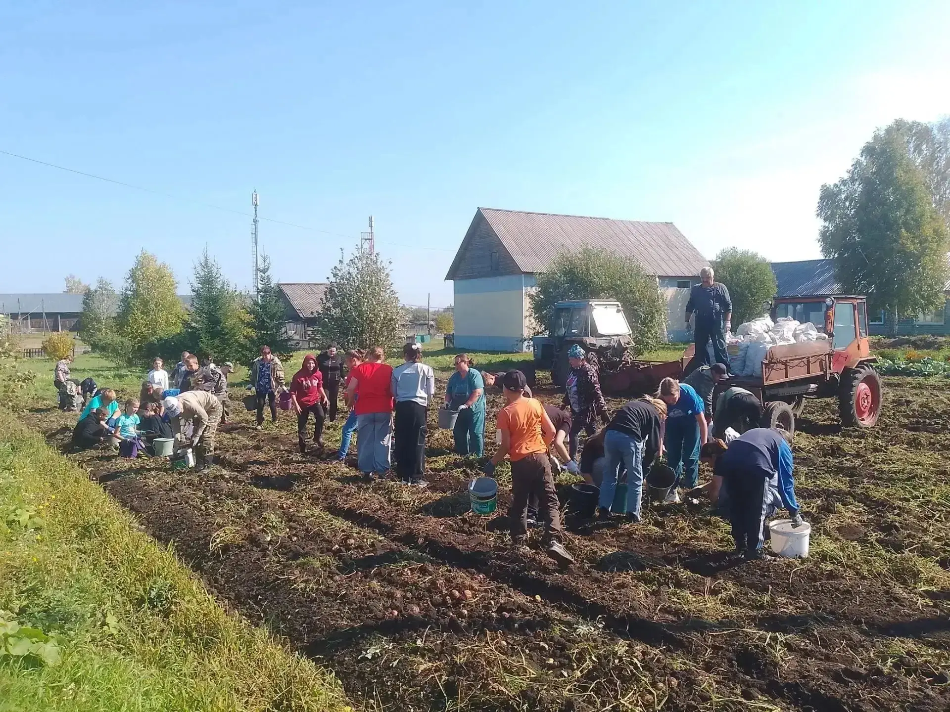 🌾🍽️ Уборка урожая в  школе д. Новобалтурина! 🍽️🌾