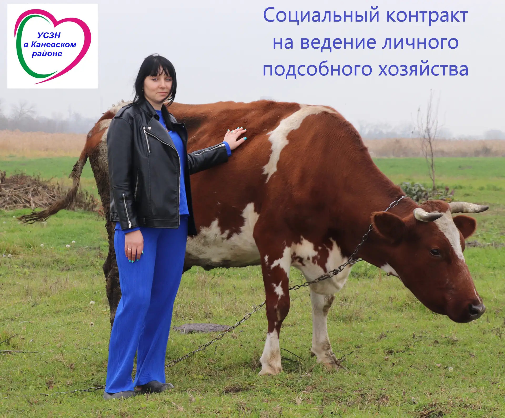 А много ль корова даёт молока?