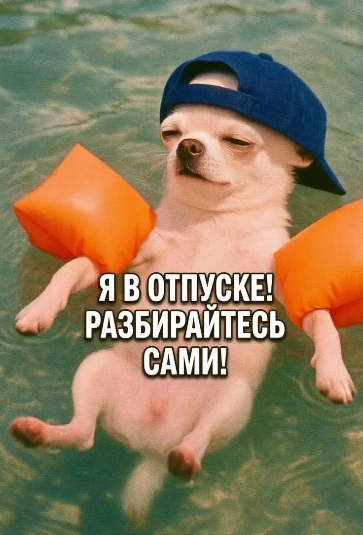 🤣 #юмор