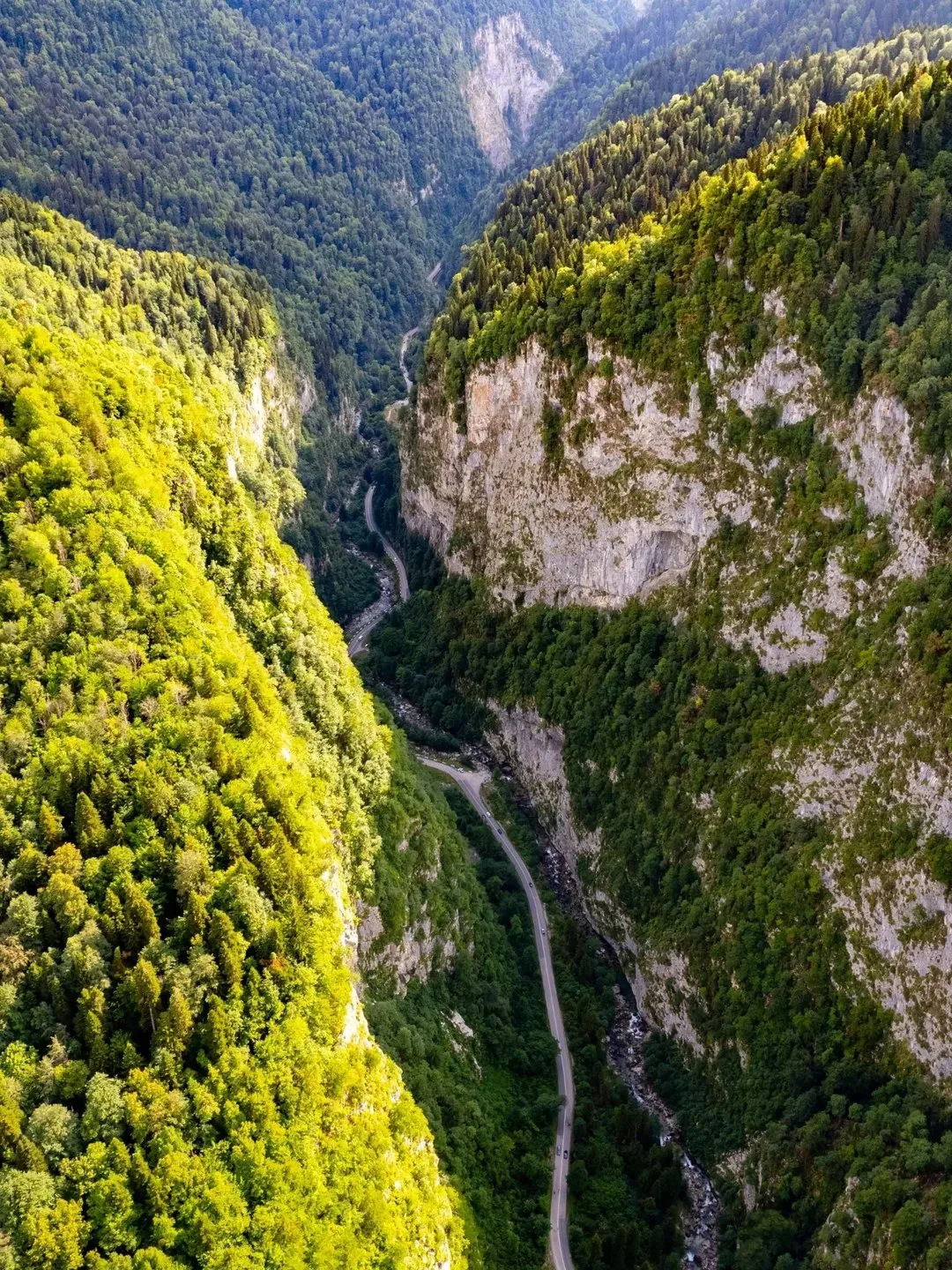 🏞️ Рицинский заповедник — место, где природа раскрывается во всей своей величественной...