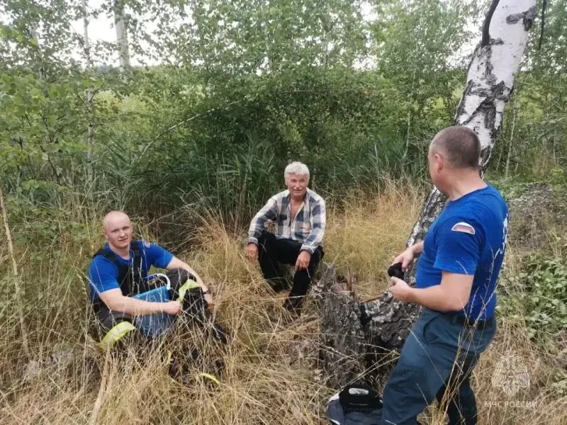 🌿 Спасатели вывели заблудившегося грибника из болота в Донском