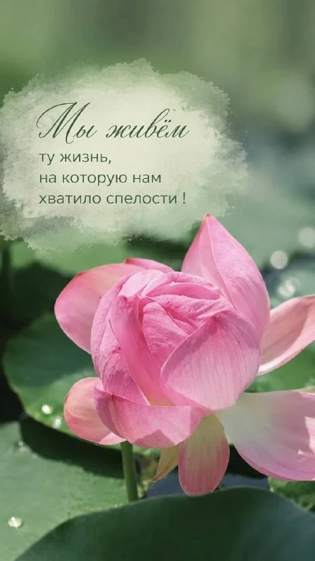 🌼Прикольные открытки