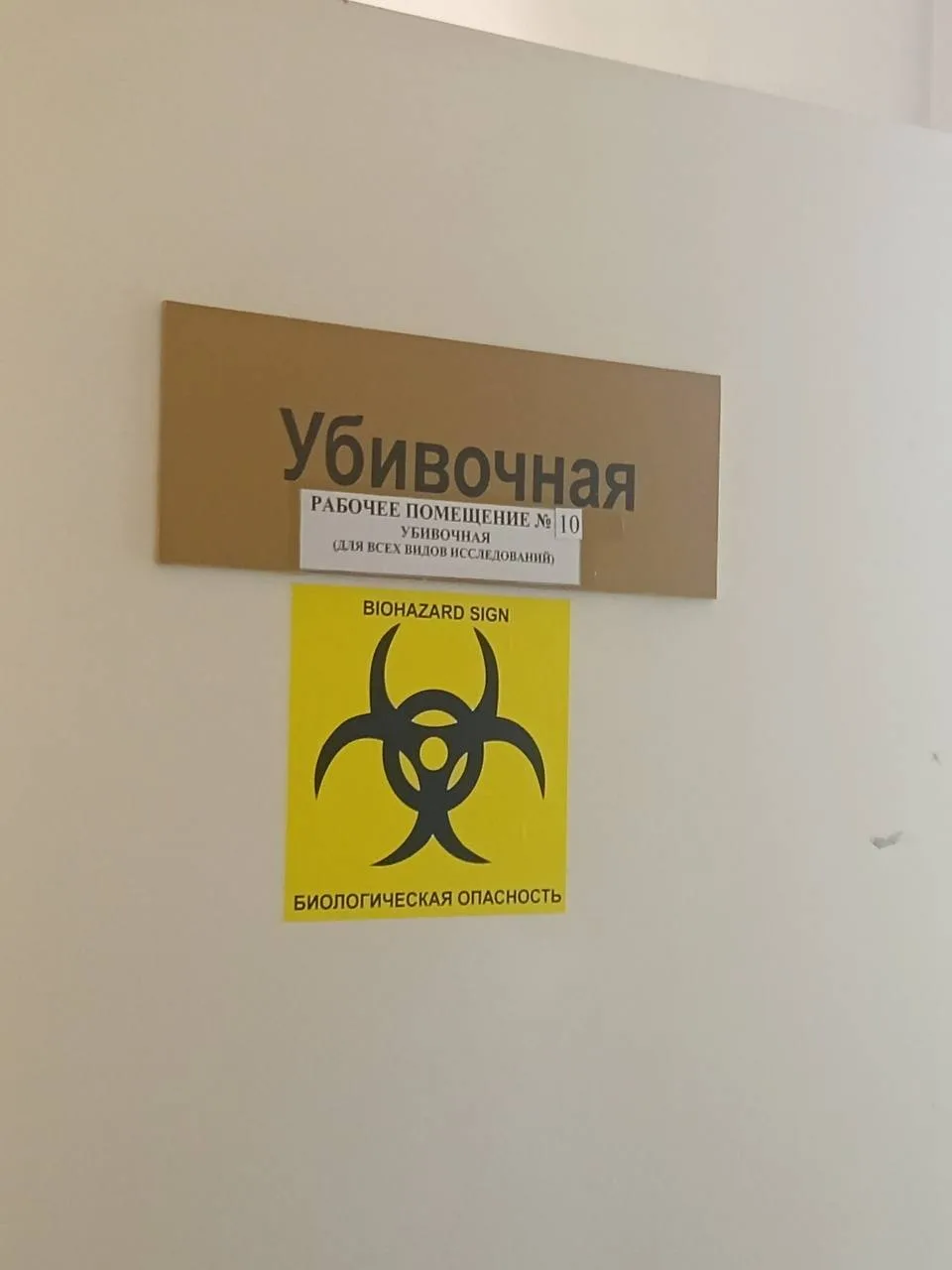 🧑‍🔬 Лицеисты из естественнонаучных классов продолжают знакомство с медицинскими специальностями.   ❤