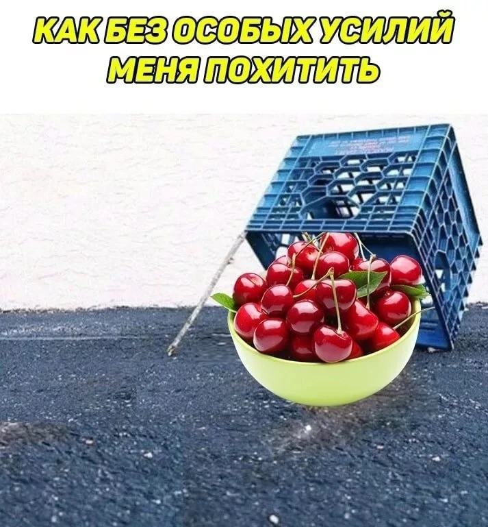 Надеюсь у всех черешнеприёмник уже расчехлён???